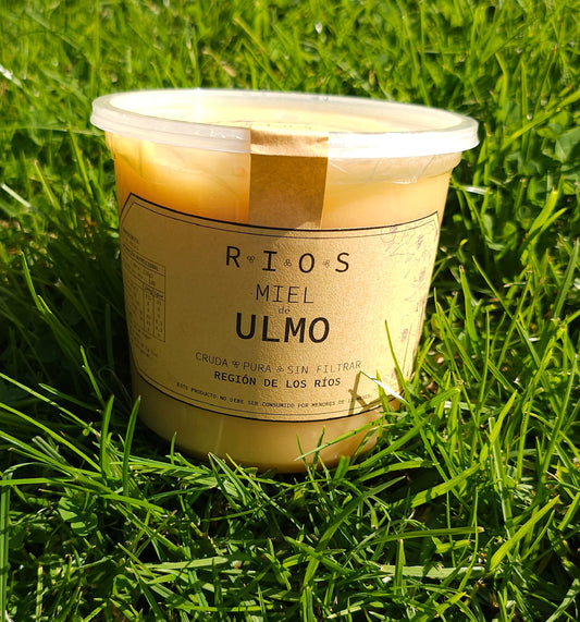 Miel de Ulmo 1KG