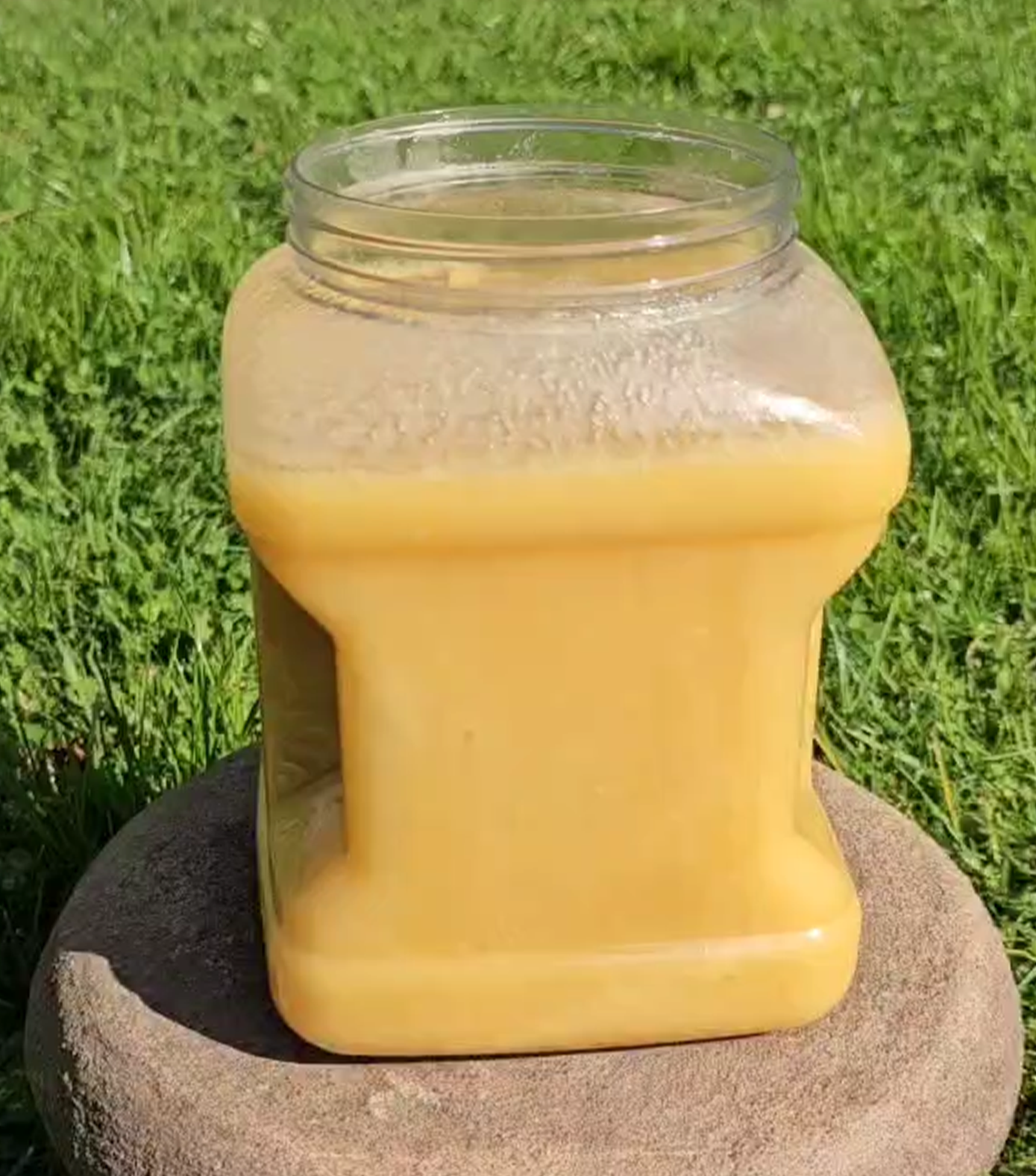 Miel de Ulmo 3,5 KG