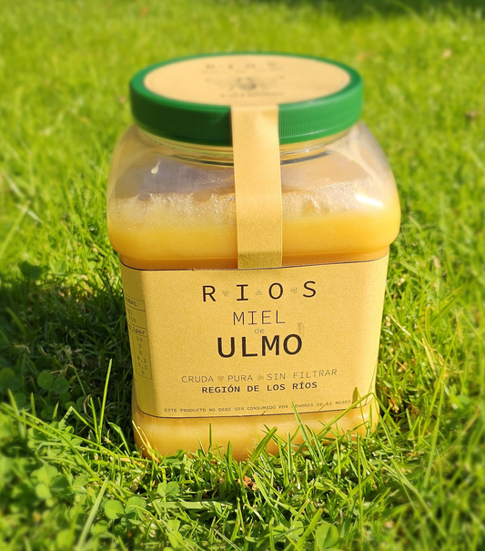 Miel de Ulmo 3,5 KG