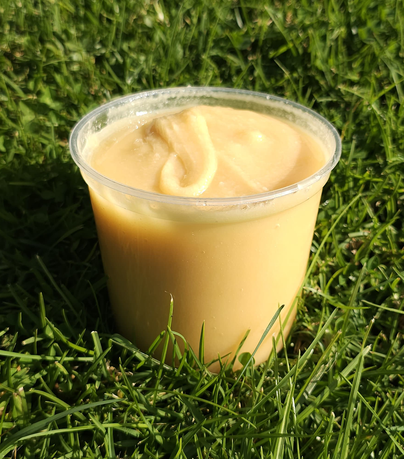 Miel de Ulmo 1KG